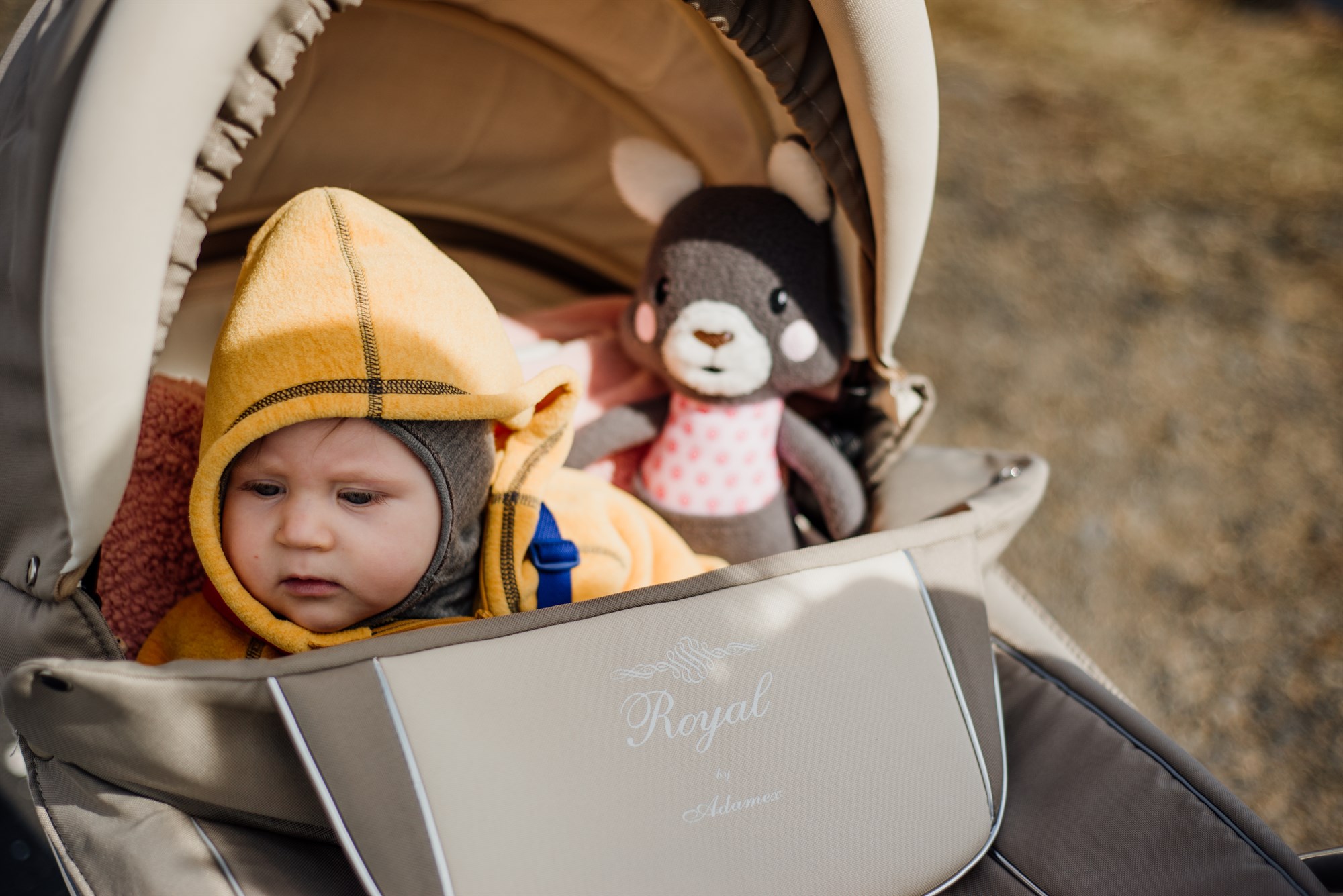 A baby in a stroller