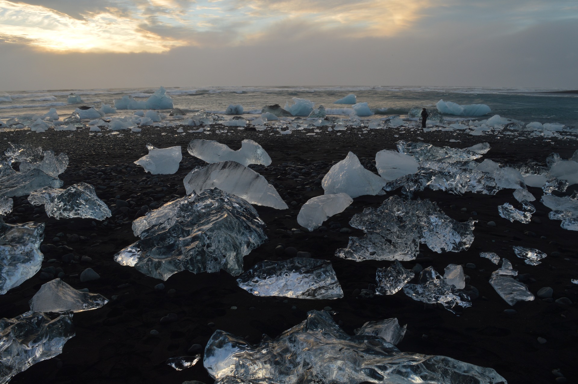 Ice Calves on the Black Sand Beach Diamond Beach