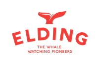 Elding Walbeobachtung