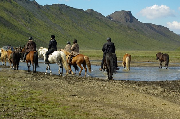 Leitfaden zum Reiten in Island
